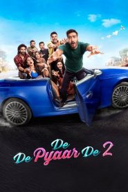 De De Pyaar De 2 2025 Hindi Movie